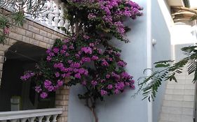 Apartmani Korade