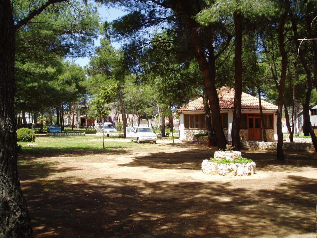 Apartmani Korade Vir Kültér fotó